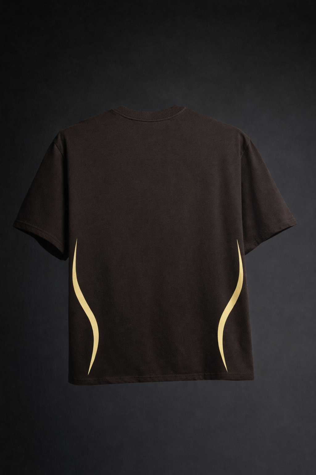 Swag Curve Oversized t shirt